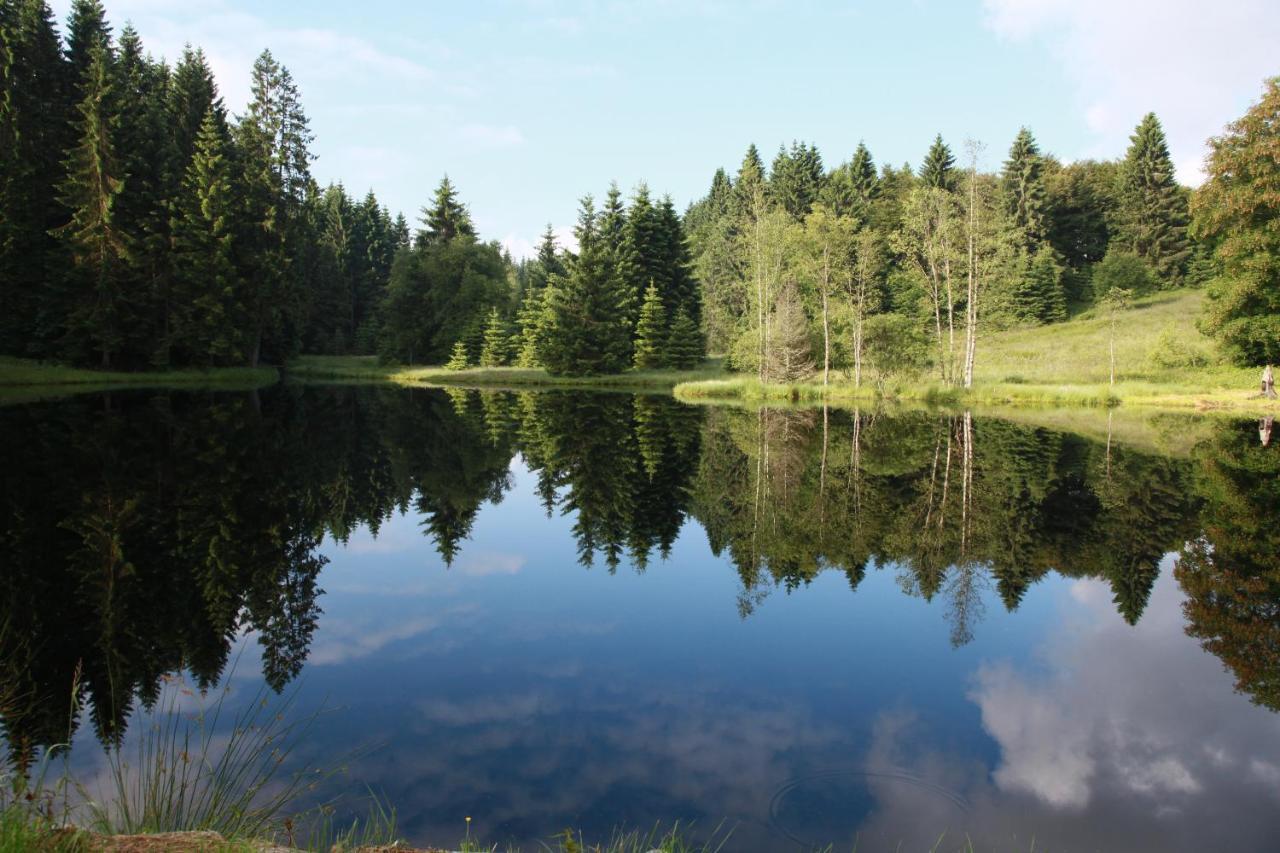Chalet Des Rochires Gérardmer Eksteriør billede